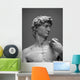 Museum Replica David 1 Wall Mural