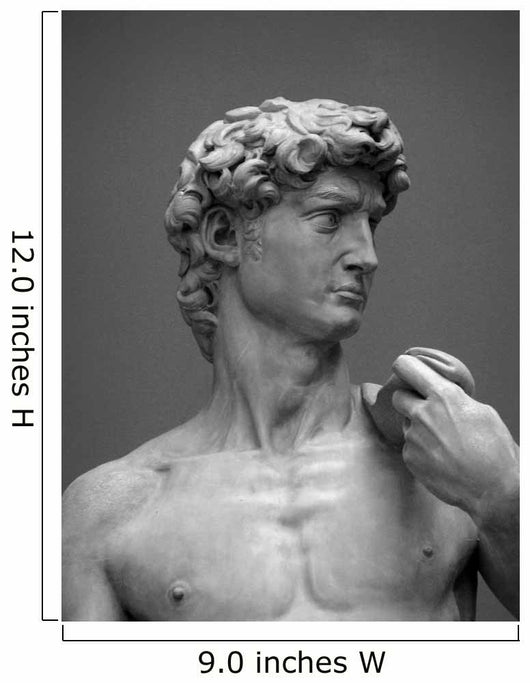 Museum Replica David 1 Wall Mural