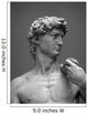 Museum Replica David 1 Wall Mural