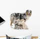 Mother Australian Shepherd with Wall Decal