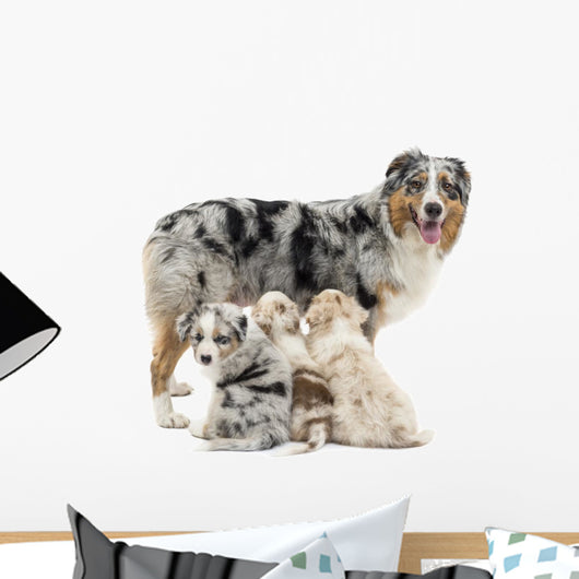 Mother Australian Shepherd with Wall Decal