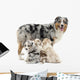 Mother Australian Shepherd with Wall Decal