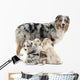 Mother Australian Shepherd with Wall Decal