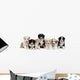 Front view of Australian Shepherd puppies, 6 weeks old Wall Decal