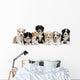 Front view of Australian Shepherd puppies, 6 weeks old Wall Decal