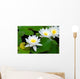 Three beautiful white water lily (lotus) Wall Mural