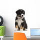 Australian Shepherd Puppy 8 Wall Decal