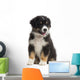 Australian Shepherd Puppy 8 Wall Decal