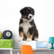 Australian Shepherd Puppy 8 Wall Decal