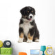 Australian Shepherd Puppy 8 Wall Decal