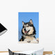 Snow Malamute Wall Mural