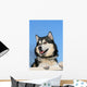 Snow Malamute Wall Mural