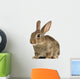 European Rabbit or Common Wall Decal