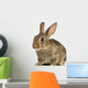 European Rabbit or Common Wall Decal