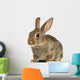 European Rabbit or Common Wall Decal