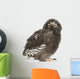 Snowy Owl Chick Bubo Wall Decal