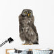 Great Grey Owl or Wall Decal