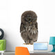 Great Grey Owl or Wall Decal