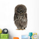 Great Grey Owl or Wall Decal