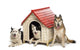Group Dogs Surrounding Kennel Wall Decal