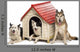 Group Dogs Surrounding Kennel Wall Decal