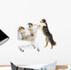 Australian Shepherd Standing Hind Wall Decal