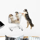 Australian Shepherd Standing Hind Wall Decal
