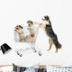 Australian Shepherd Standing Hind Wall Decal