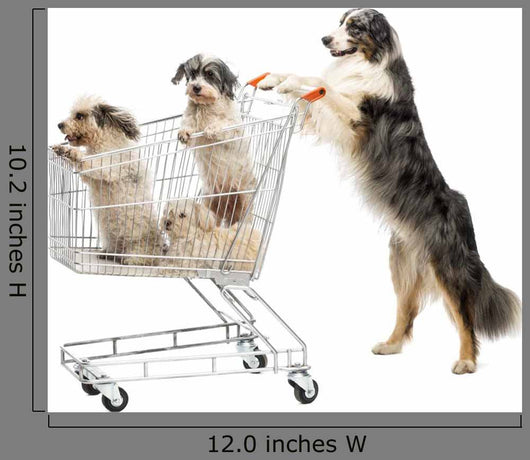 Australian Shepherd Standing Hind Wall Decal