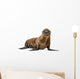 California Sea Lion Wall Decal