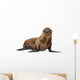 California Sea Lion Wall Decal