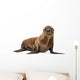 California Sea Lion Wall Decal