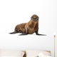 California Sea Lion Wall Decal