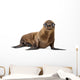 California Sea Lion Wall Decal