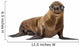 California Sea Lion Wall Decal