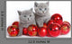 Two Kittens with Christmas