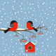 Couple of bullfinches on branch rowan with birdhouse Wall Mural