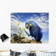 Hyacinth Macaw Wall Decal