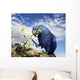 Hyacinth Macaw Wall Mural