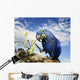 Hyacinth Macaw Wall Decal