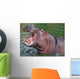 Hippo Yawning Wall Mural