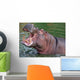 Hippo Yawning Wall Mural