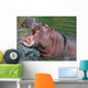 Hippo Yawning Wall Mural