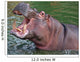 Hippo Yawning Wall Mural