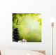Abstract Asian Backgrounds with Wall Decal