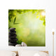 Abstract Asian Backgrounds with Wall Decal