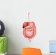 Human Digestive System