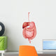Human Digestive System