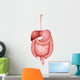 Human Digestive System