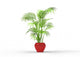 Plant Wall Mural